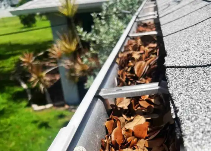 Gutter Cleaning Lucas TX home page