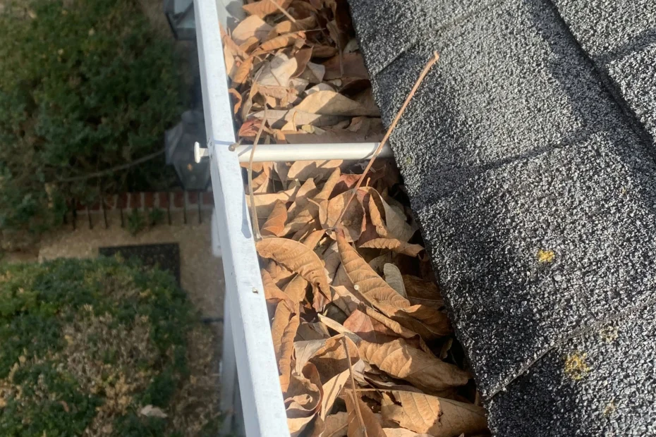 Lucas Gutter Cleaning