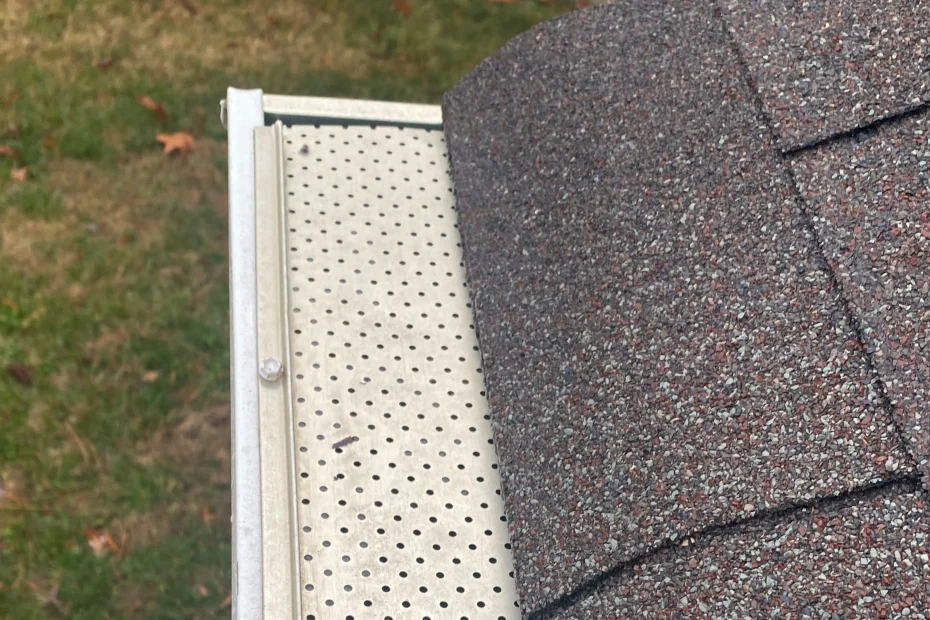 Lucas Gutter Cleaning
